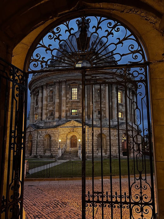 The Oxford Experience: Leadership, Art, and Career Transformation